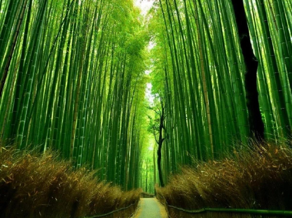 Kamo River J~House Kioto Exterior foto